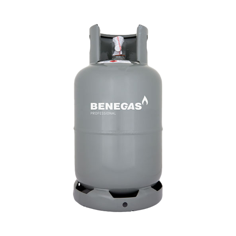 Benegas Professional 10,5KG